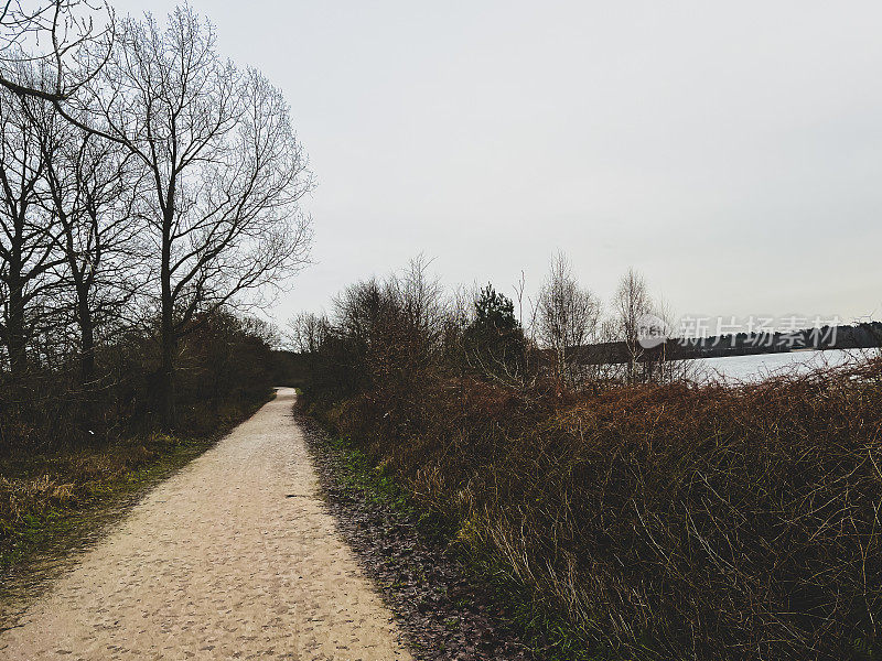 冬天，在德国，湖边的一条小路被称为“Offlumer See”。